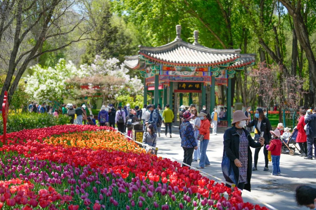 走!乘着公交车去旅游