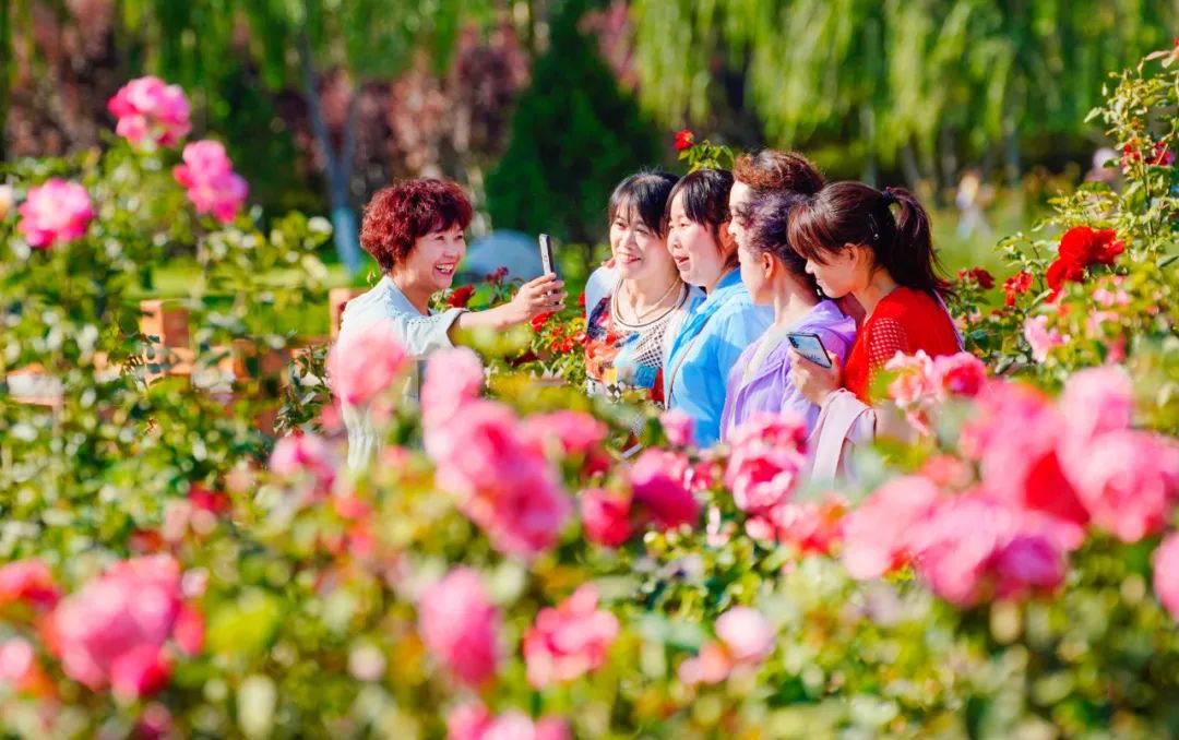 走!乘着公交车去旅游