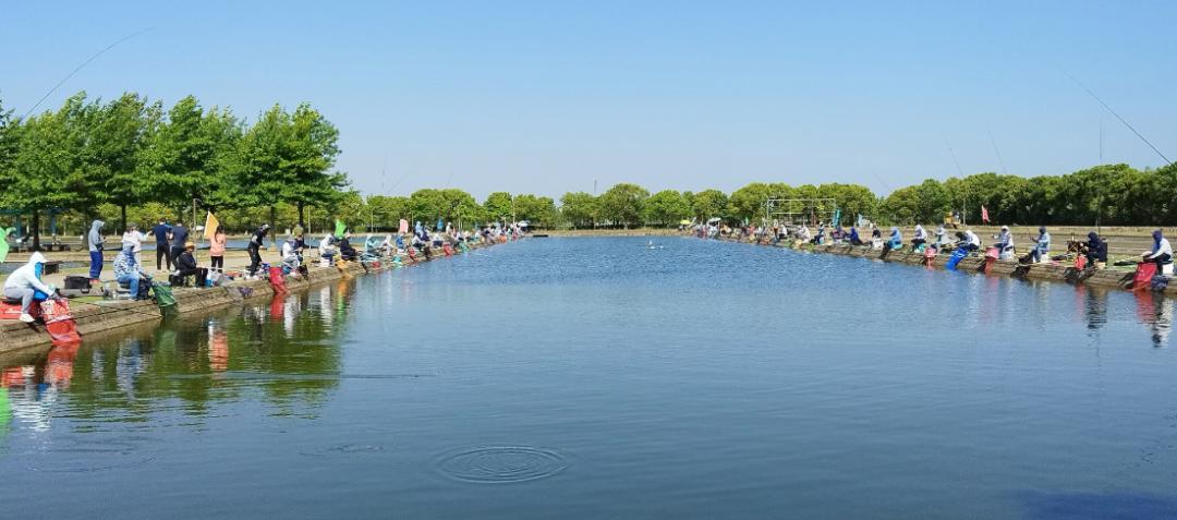 同"塘"竞技!长宁职工钓鱼比赛圆满收官