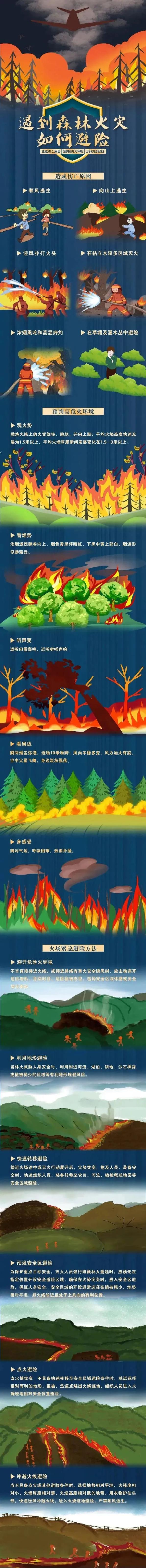 【森林防火】森林草原防灭火小知识