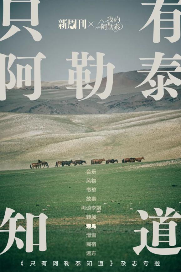 "作者/草莓脆很多人去新疆,为的是观鸟——根据新疆维吾尔自治区林业