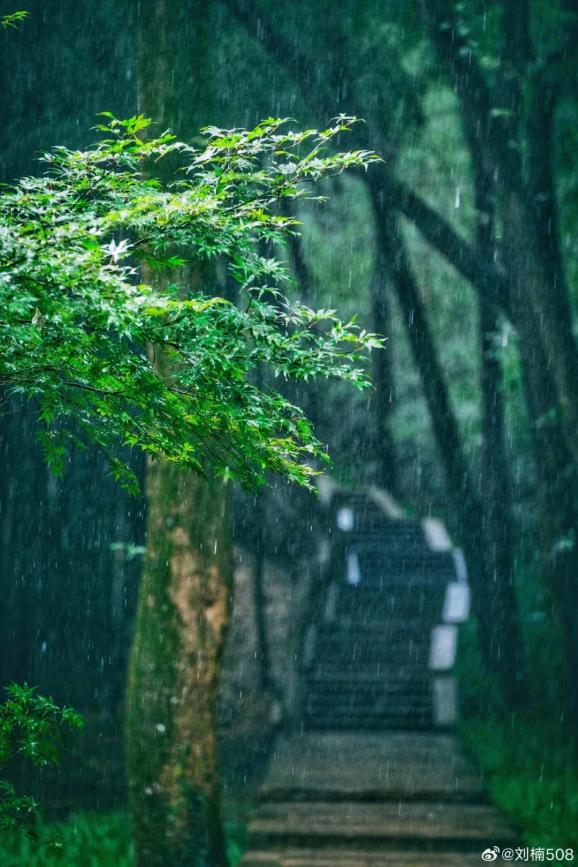 小雨气象图片图片