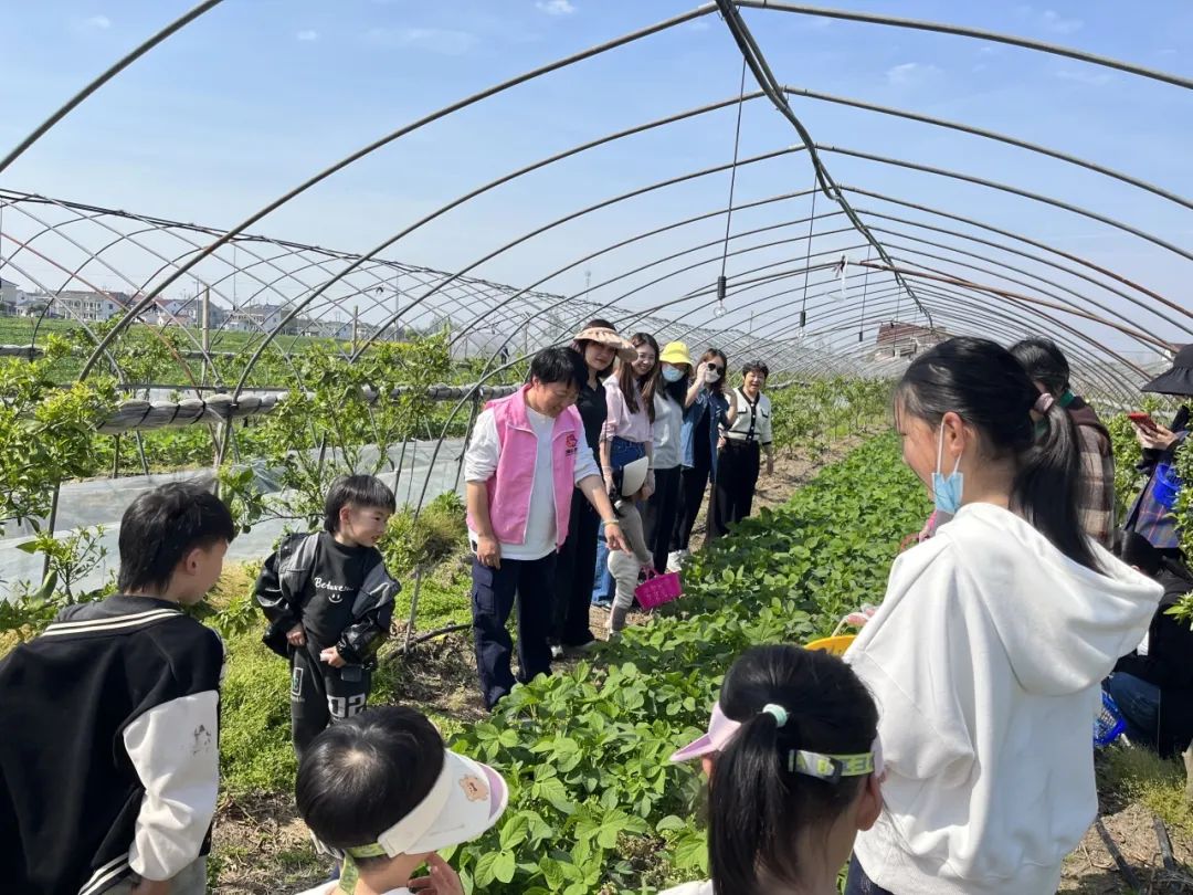 邀请天凝小学的小朋友们走出课堂,走进蒋村村春田花花营地,开启了一场