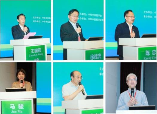 马秋富,上海市针灸经络研究所所长吴焕淦,天津中医药大学副校长张俊华