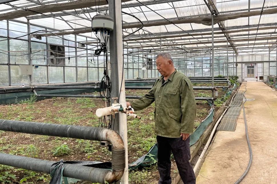 看,这个村养"地龙"土里生金!