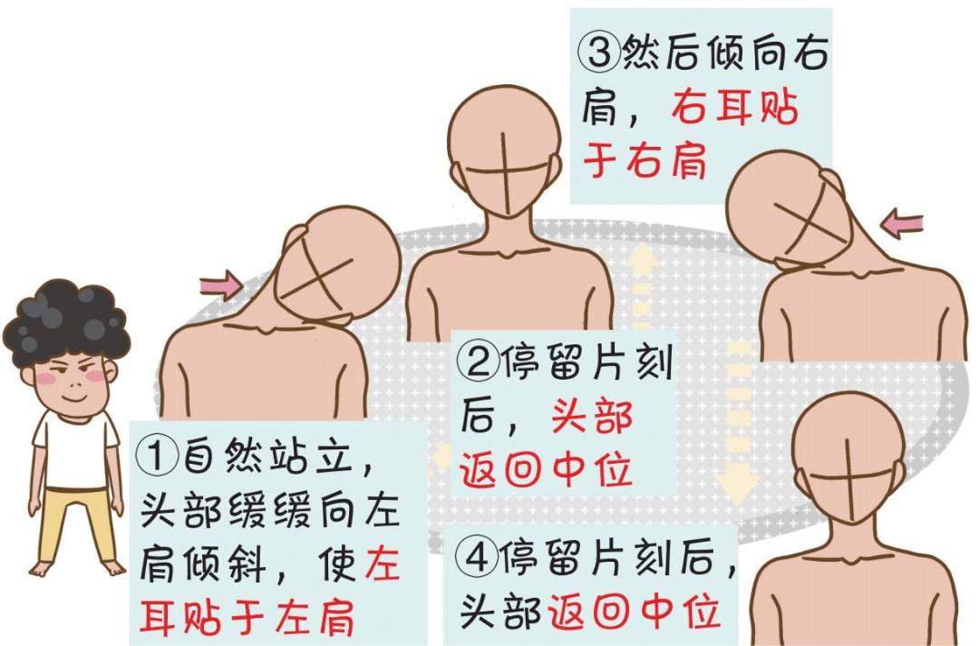 左右摆头6提肩缩颈5左右旋转4举臂转身3前俯后仰2基本姿势