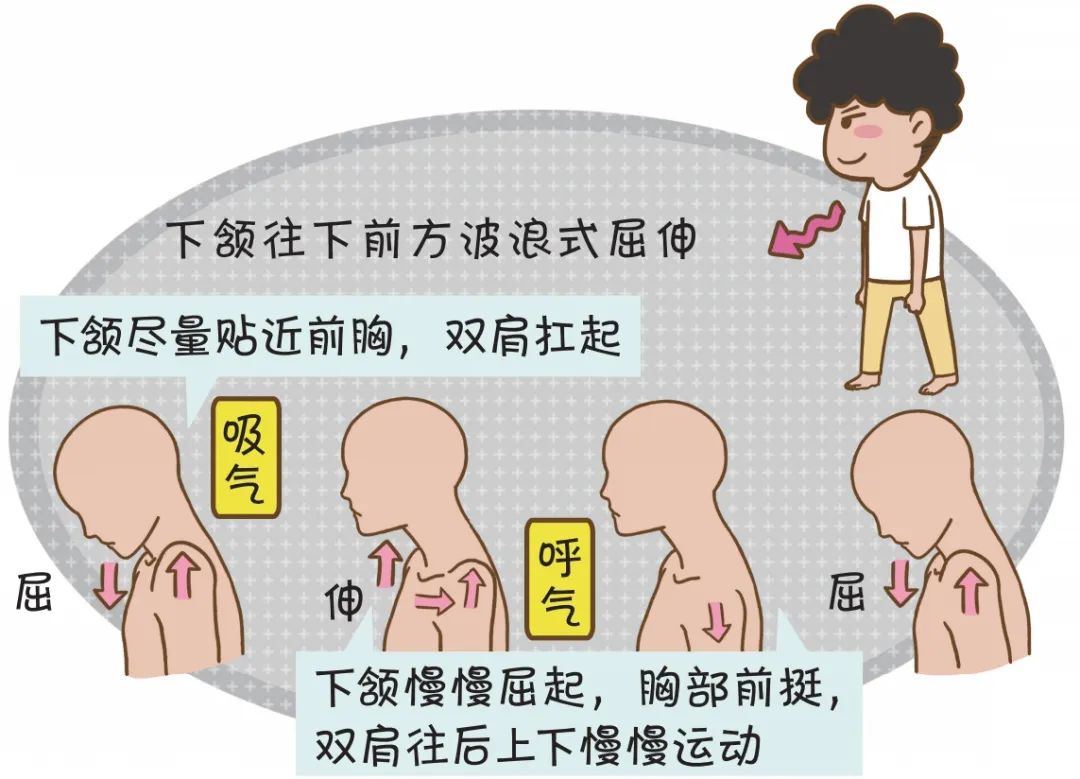 下颔屈伸7左右摆头6提肩缩颈5左右旋转4举臂转身3前俯后仰2基本姿势