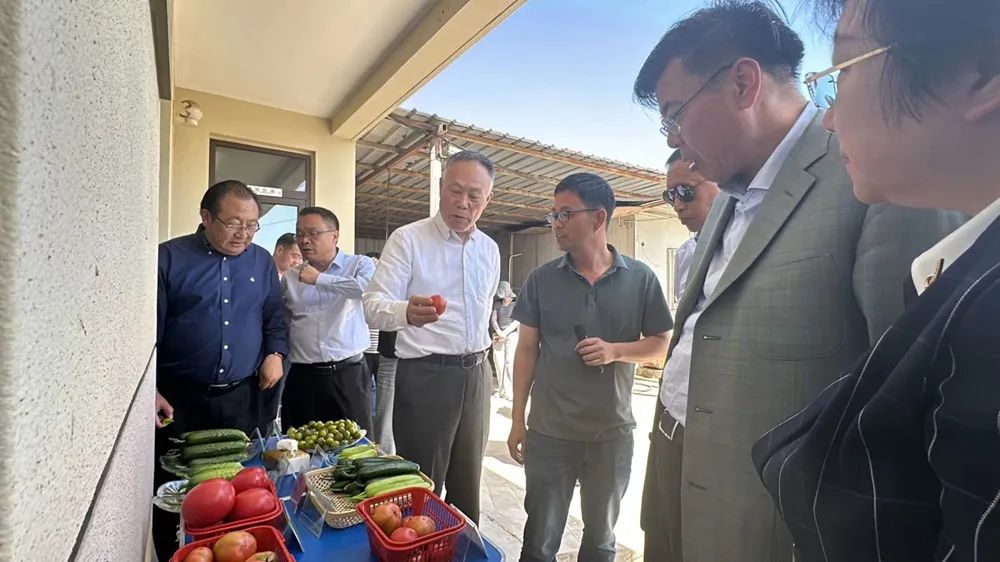 立足乡村振兴战略实施,上海乓乓响农副产品配送有限公司植根于川沙镇