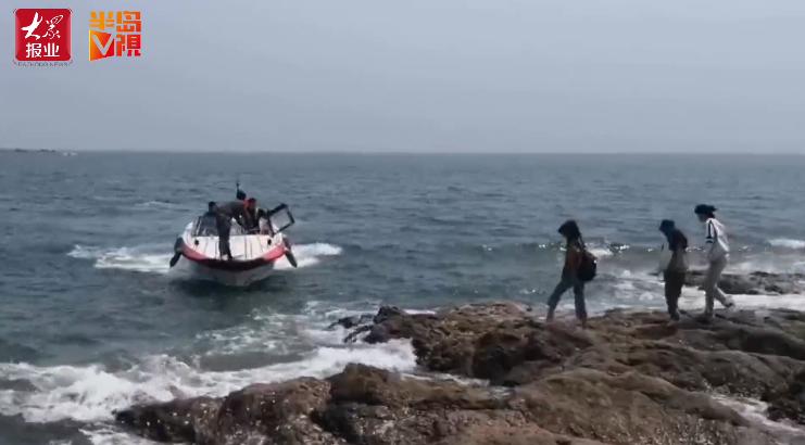 海燕的简介 340.jpg