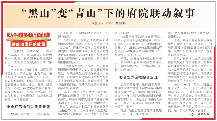 "黑山"变"青山"下的府院联动叙事