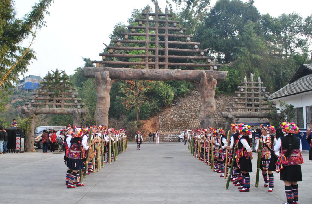 来云南,带你品不一样的茶"颜"悦色