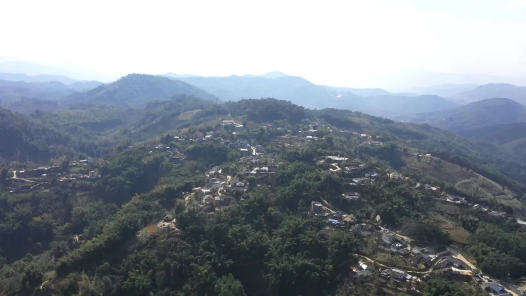 来云南,带你品不一样的茶"颜"悦色