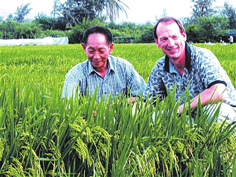 2004年4月, 在三亚,袁隆平与外国专家一起观察杂交水稻新品种.