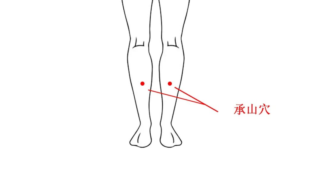 二白承山位置图片