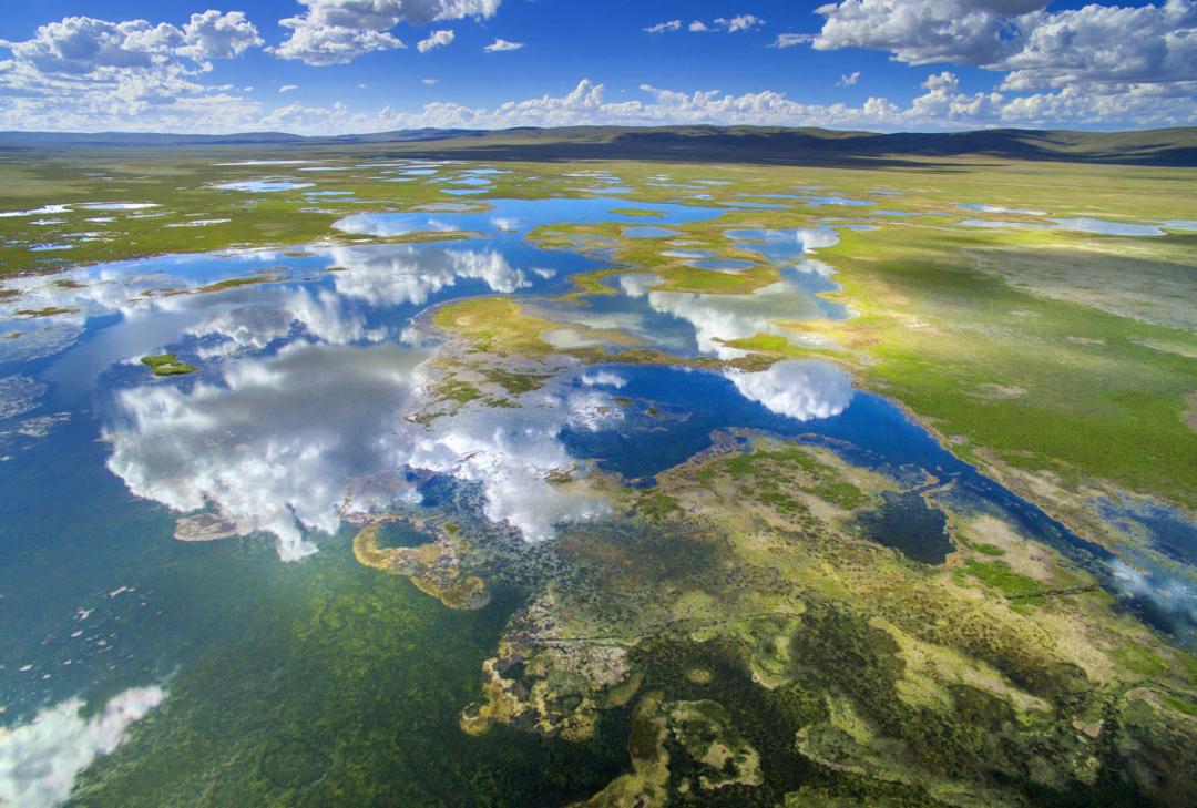 三江源:江河势起 万物生长