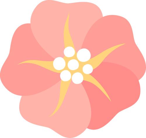 用爱和希望对抗生活的未知——洞口法院情系特殊学校