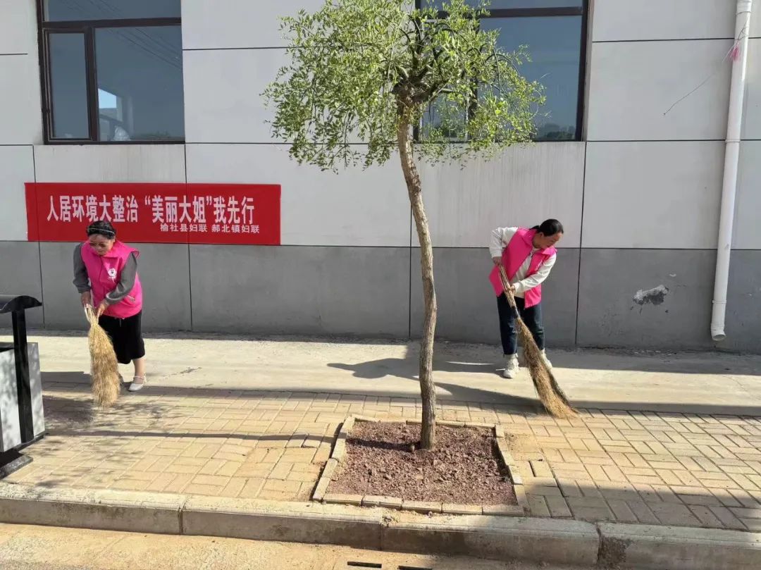 【农村人居环境整治提升】人居环境大整治     "美丽大姐"我先行