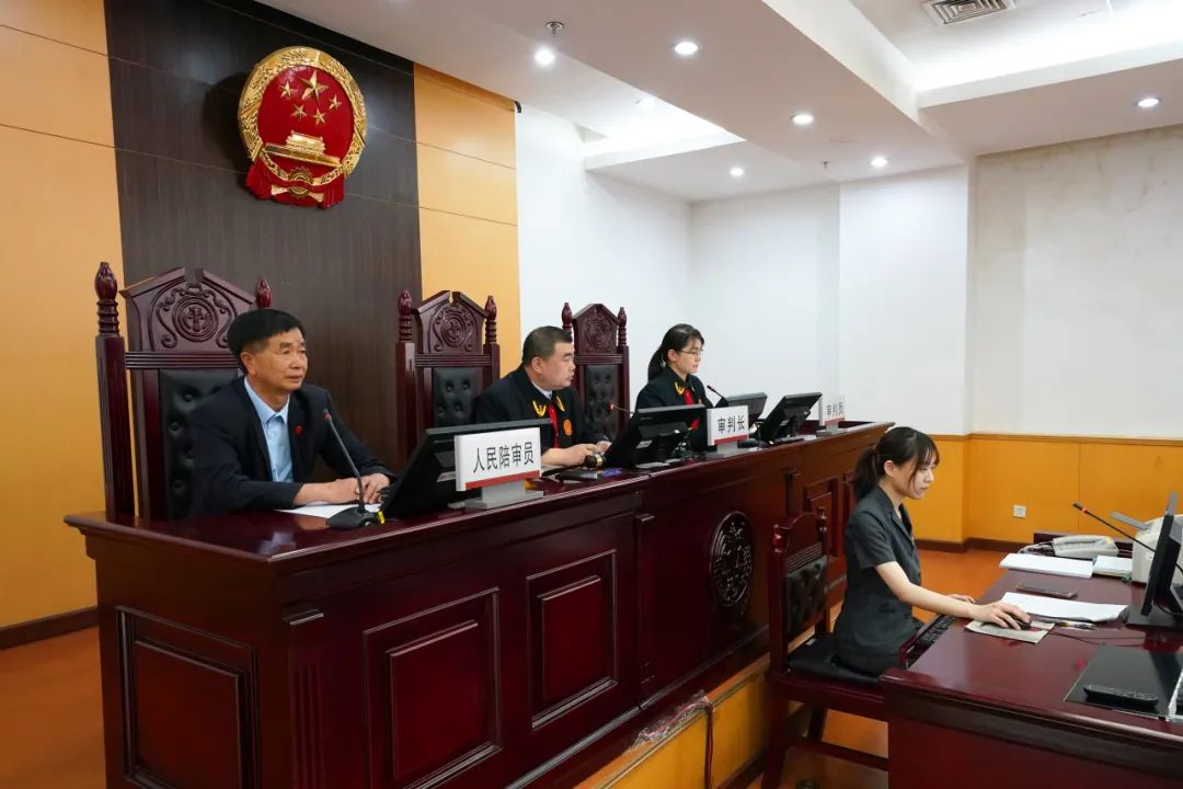 院长开庭,副区长出庭应诉,昌平法院扎实推进"院庭长公开庭""专家示范