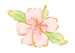 最早绽放的是玉兰,一朵朵悄立风中,喃喃自语春天来了;在桃花的掩映下