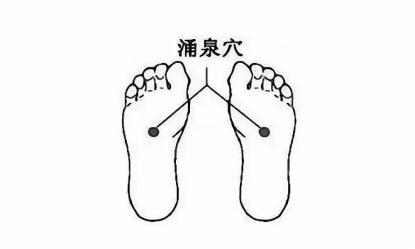 科学素质提升|别让你的血管健康"亮红灯"