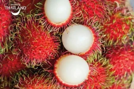 泰国水果季来了