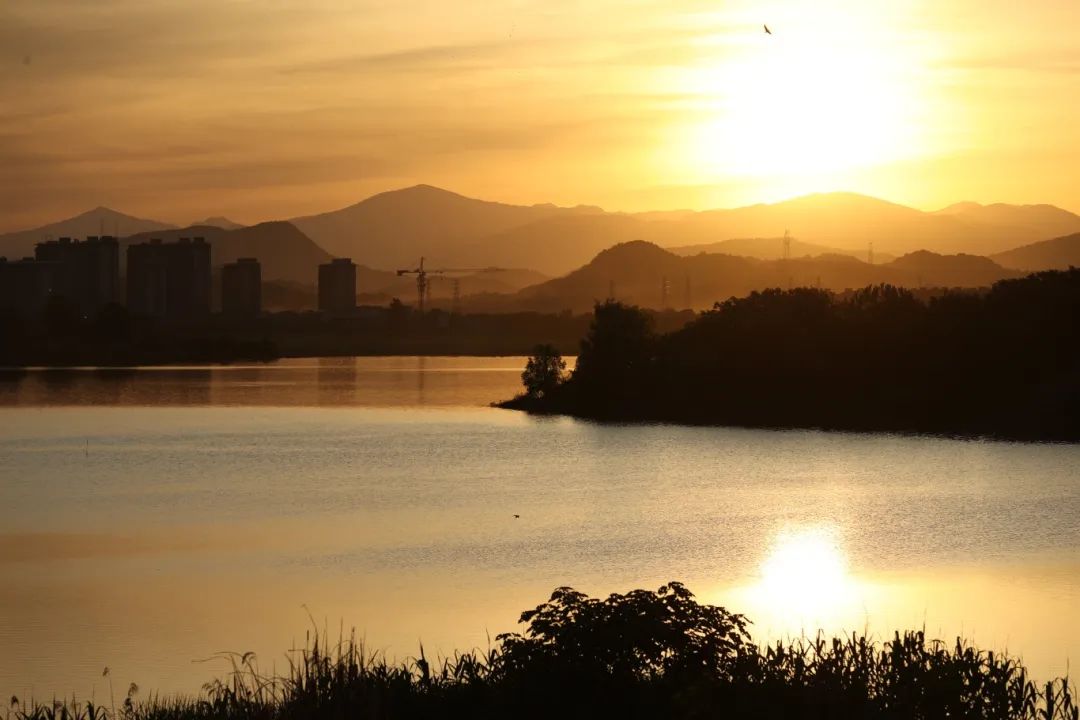 遇见余杭③ | 苕溪治水,富足江南是奋斗出来的