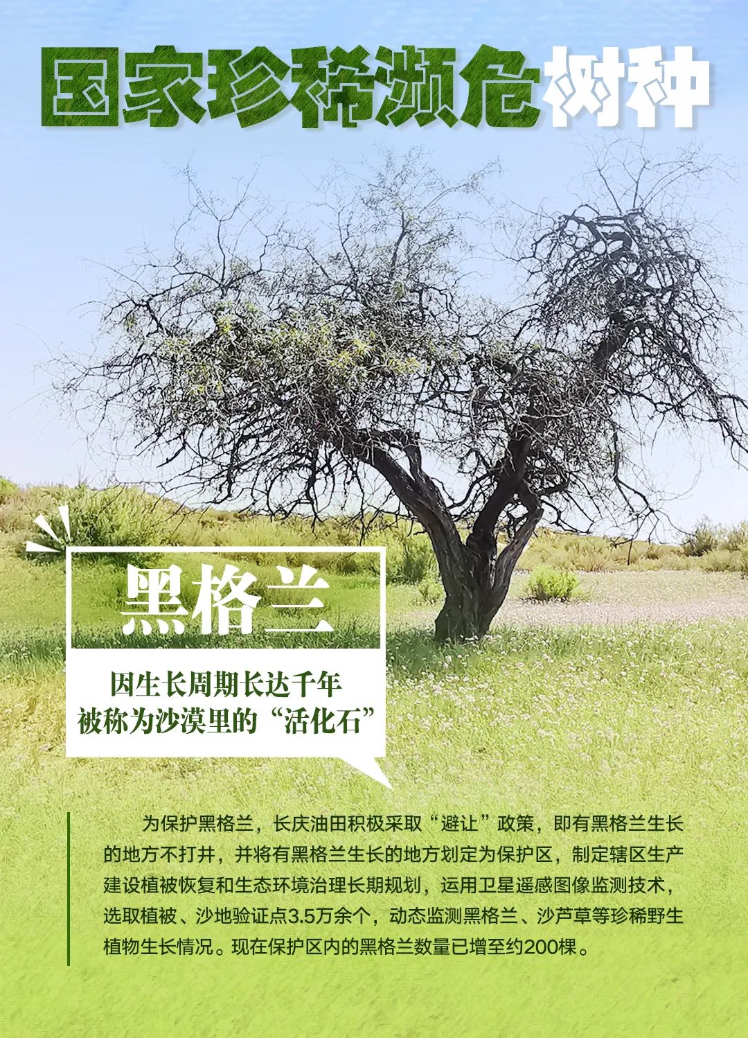 这可是绝世稀有!