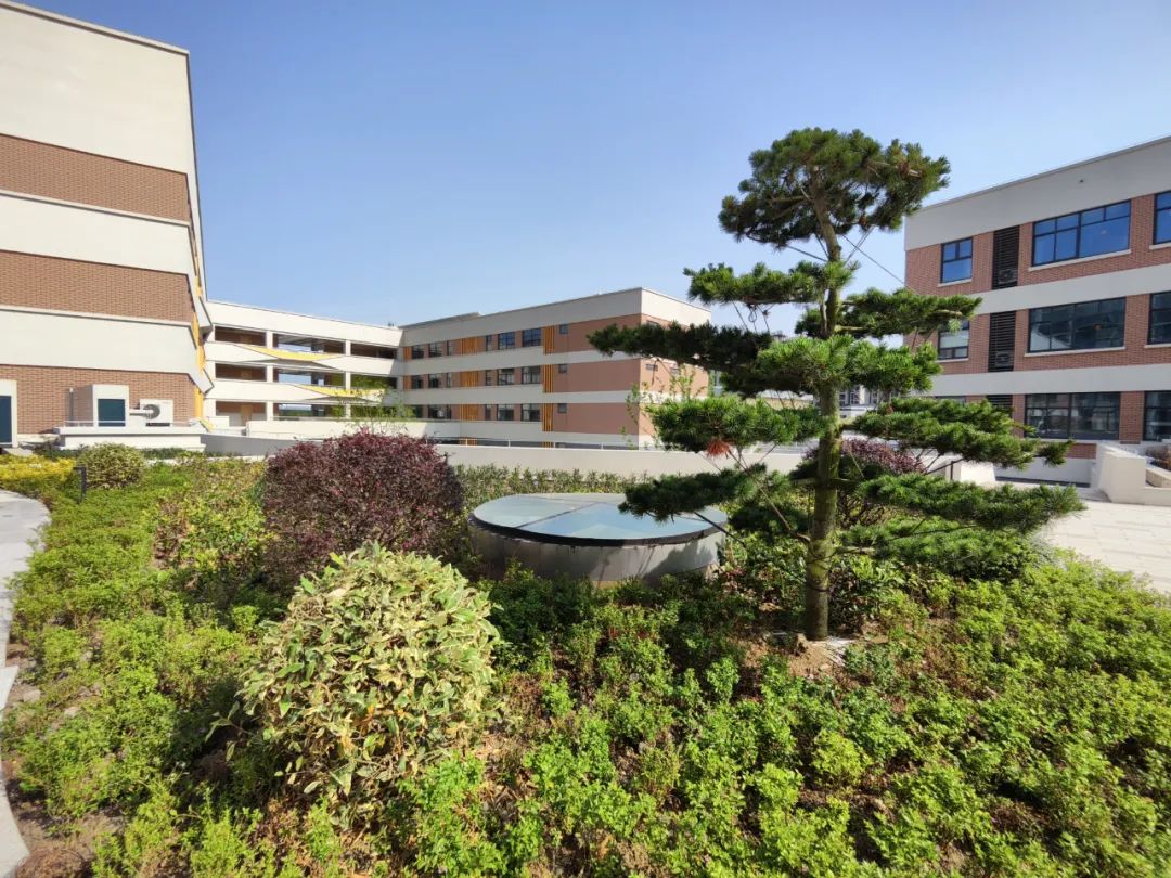 一批新学校,即将投用!