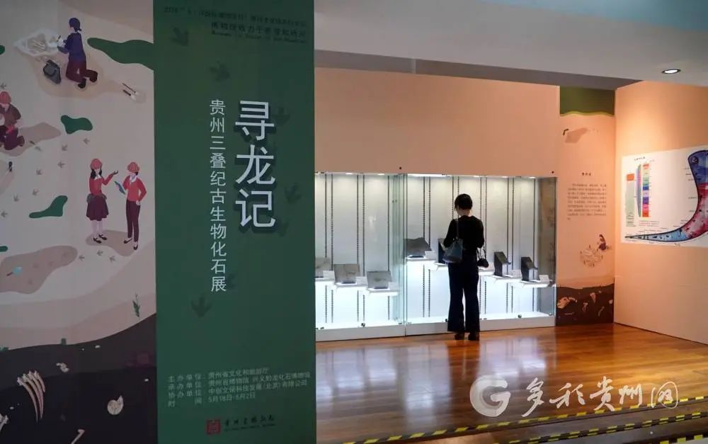 贵州省博物馆门票预约图片
