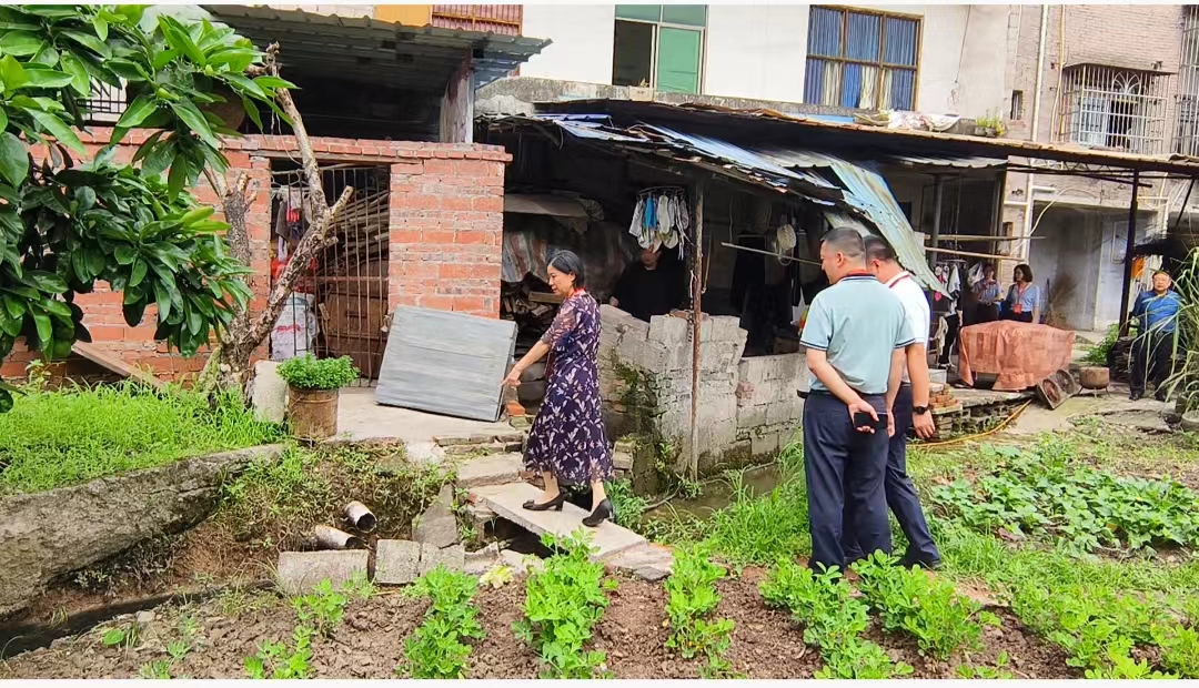 一次说走就走的民主监督 ——小记开州区农村黑臭
