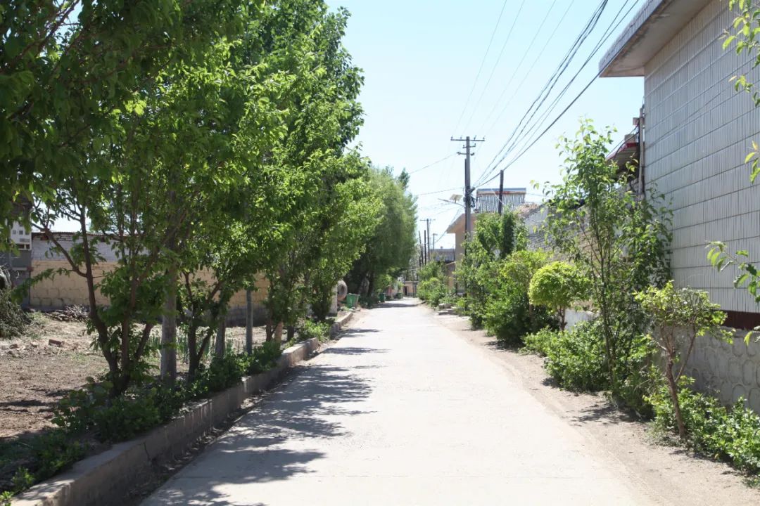 【昌黎文化行】刘台庄镇:富有希望的小滩西村