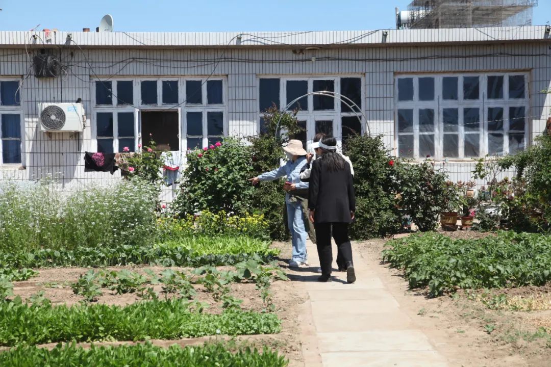 【昌黎文化行】刘台庄镇:富有希望的小滩西村