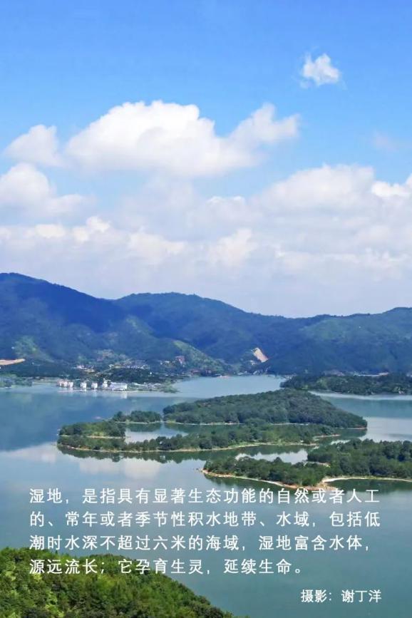 翠屏湖造就了古田县域多样的生态系统,谱写着