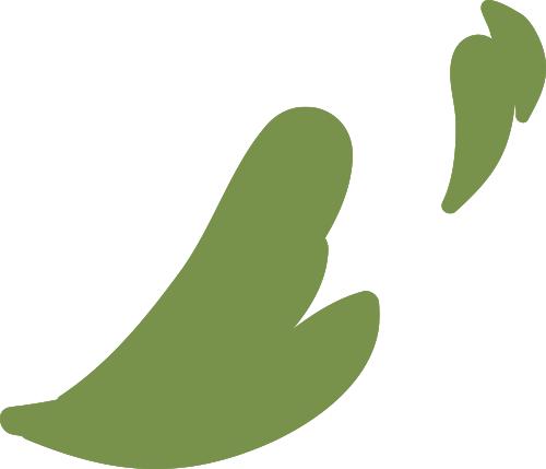 作者:王腾宇作品名称:《凤凰于飞》作品简介:天空被晕染成橙色,光与影