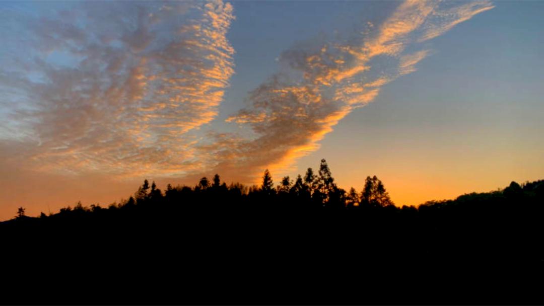 作者:王腾宇作品名称:《凤凰于飞》作品简介:天空被晕染成橙色,光与影