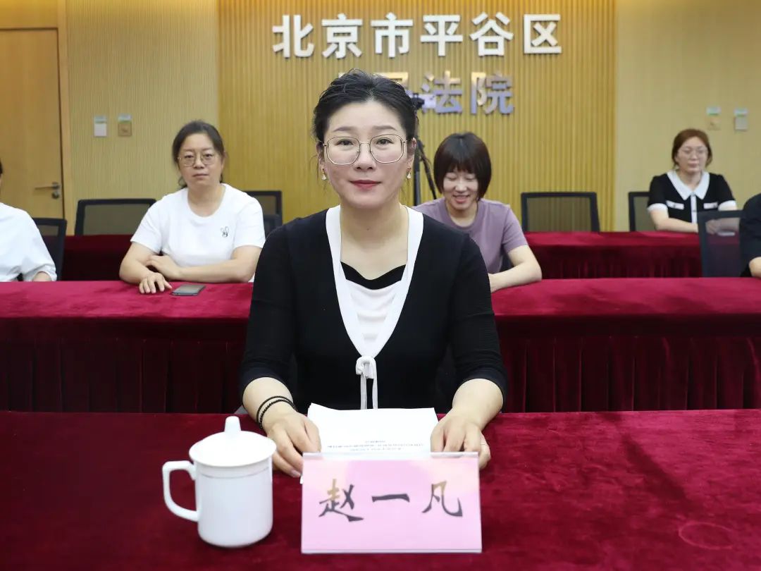 市政协委员,北京方桥律师事务所合伙人赵一凡:平谷法院信息化建设工作