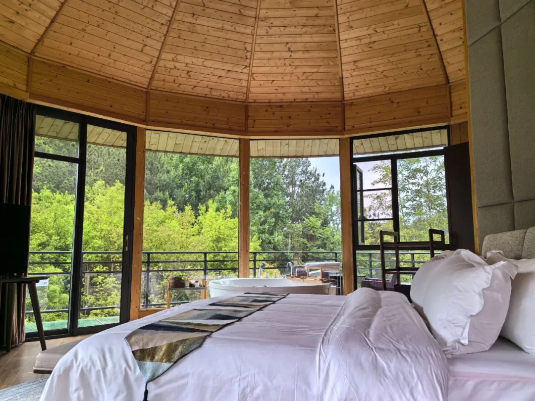 21℃的城市 360度的人生|九龙山国际森林康养旅游度假区:依托生态