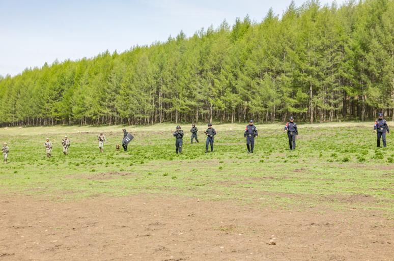集结阿尔山!聚焦军警地联合反恐怖实战演练