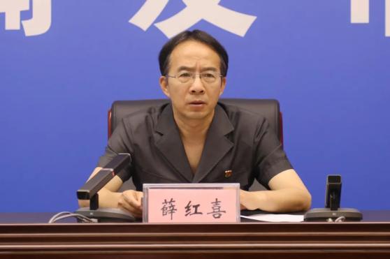 白皮书主要内容南阳中院党组成员薛红喜,民三庭庭长陈德林出席发布会