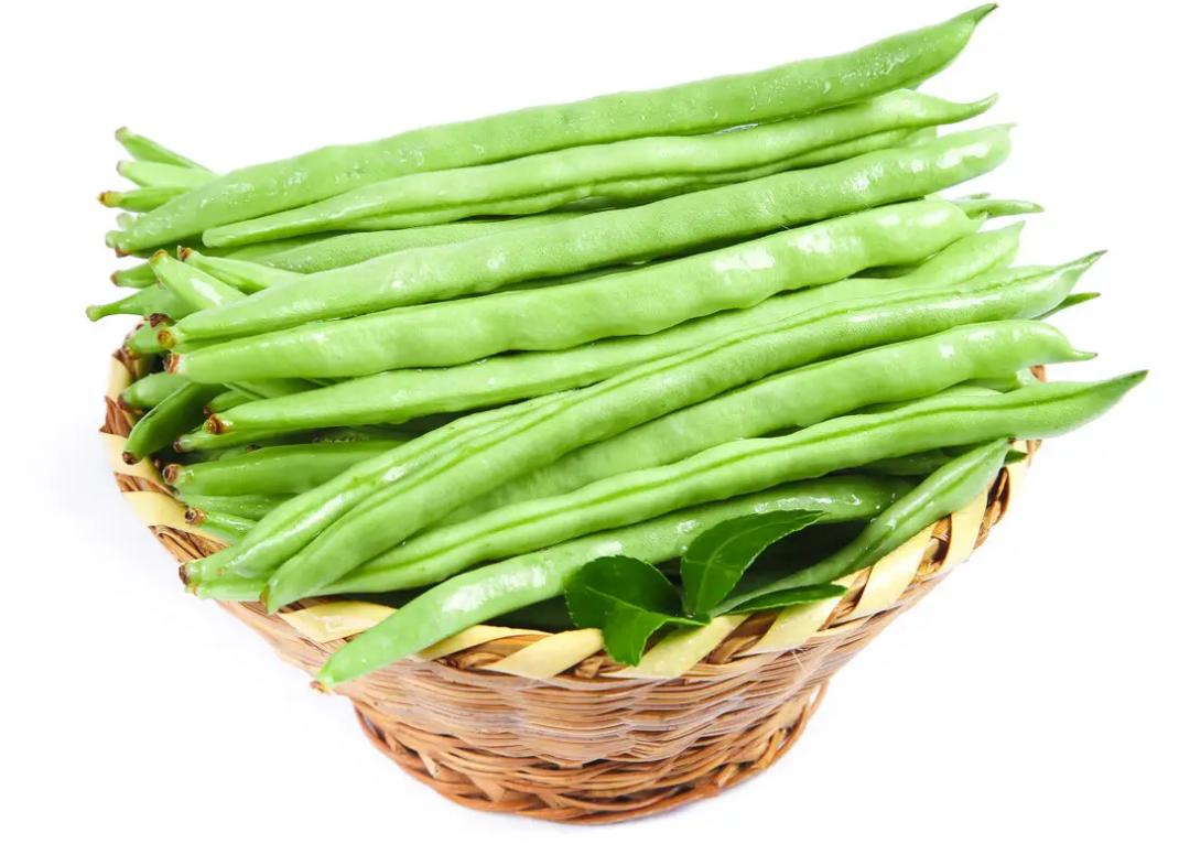 02煮熟焖透,烹饪时使它受热均匀,煮到四季豆外观失去原有的生绿色,吃