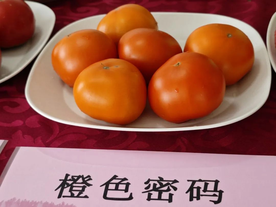 先睹为快,奉贤蔬菜品种上新啦!