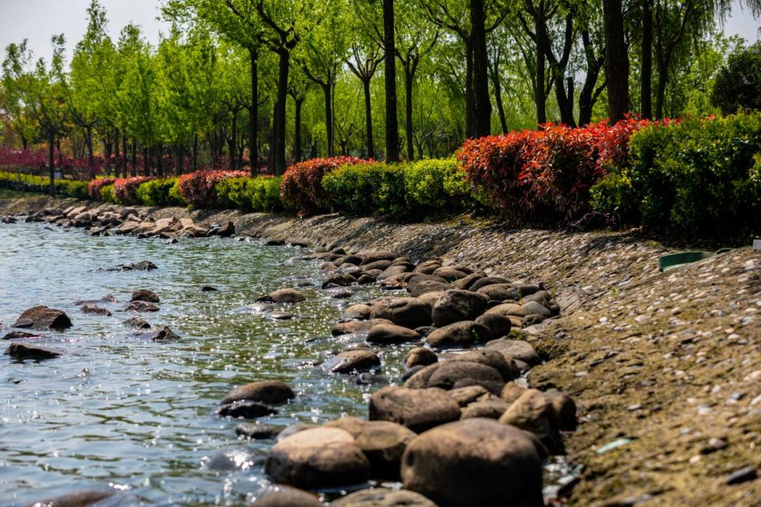 最大的天然淡水湖,总面积62平方公里,是上海的母亲河——黄浦江的源头