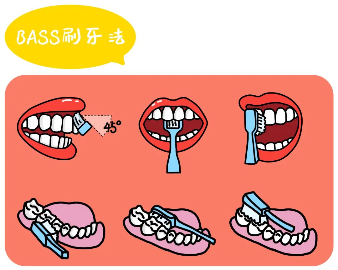 333刷牙原则 每天三次