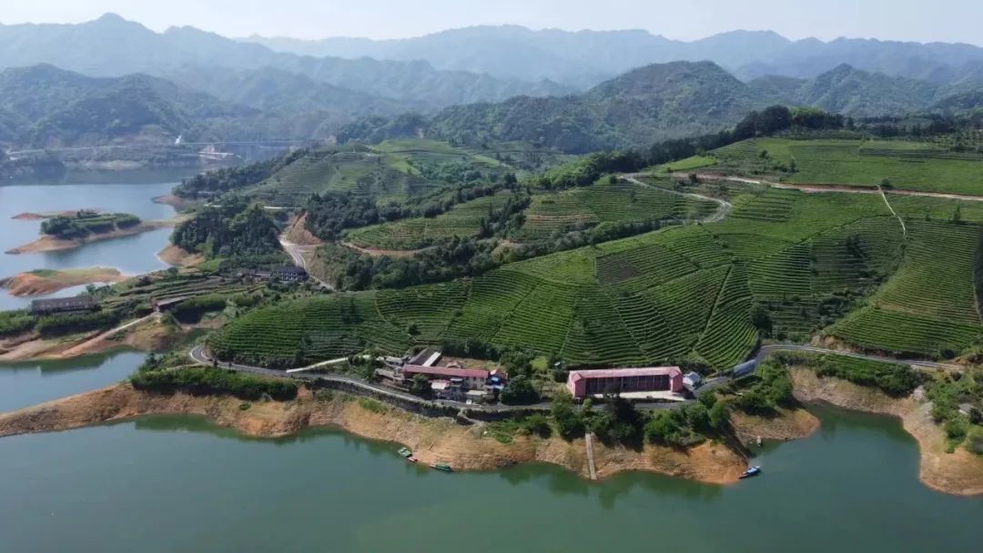 大河风韵安化库区资水之畔细品安化味道亲手做一碗擂茶还能上茶园采上