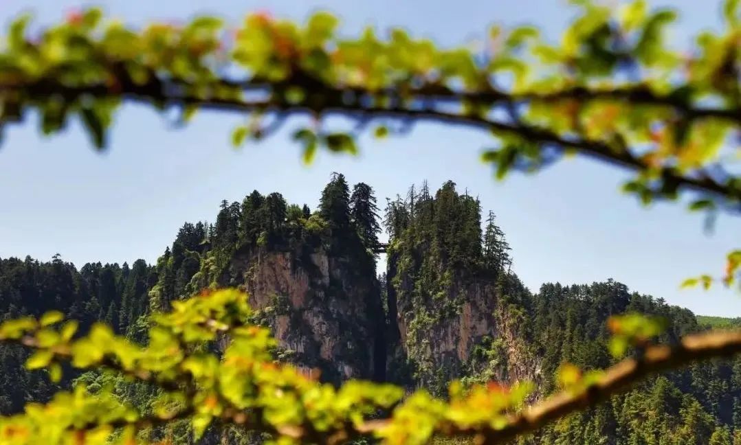 漳县贵清山现为国家aaaa级旅游景区,被誉为陇中的"小华山""贵清仙境"