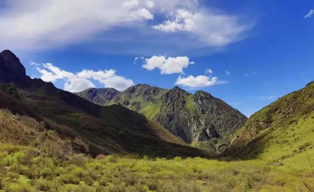 天下贵清 康养漳县