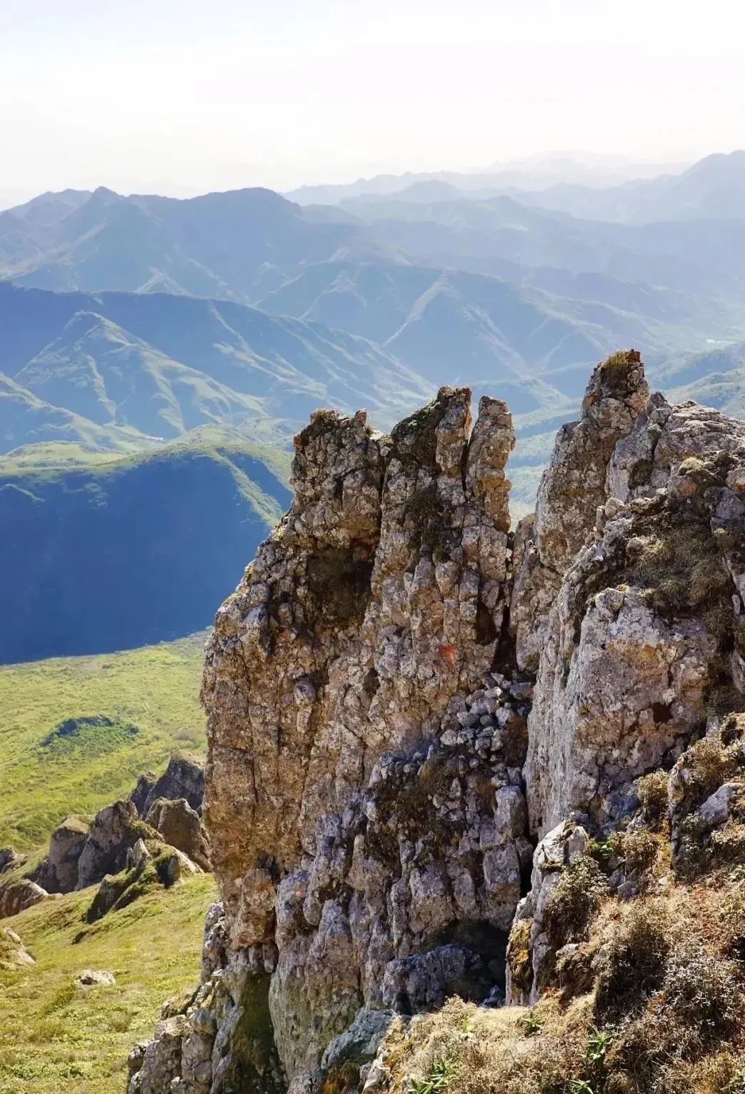 天下贵清 康养漳县