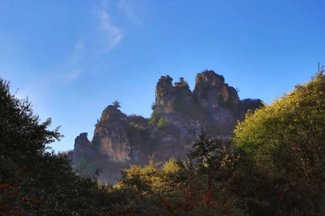 天下贵清 康养漳县