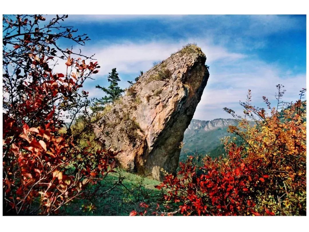 天下贵清 康养漳县