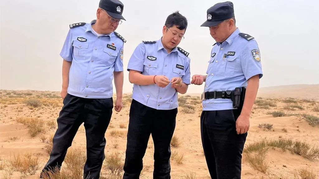坚决筑牢禁毒屏障—阿拉善盟公安局禁毒支队深入吉兰泰镇开展麻黄草